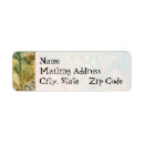 Search for ferns return address labels Botanical