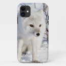 Search for churchill iphone cases Superstock