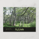 Recherche de tamil cartes postales Inde