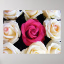 Search for rose box posters Pink