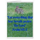 Recherche de lapin bleu photographie Oiseau
