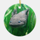 Search for amphibian ornaments Animal