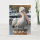 Search for california birthday cards Birds