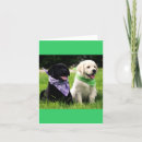 Recherche de trieur cartes postales Chien