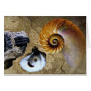 Search for folkestone Fossil