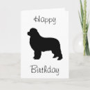 Search for newfoundland birthday cards Animals