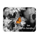 Recherche de pommier magnets Nature