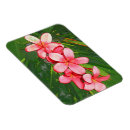 Search for spa rectangular magnets Pink