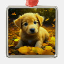 Search for labrador ornaments Yellow lab