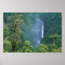 Search for congo posters Tropical