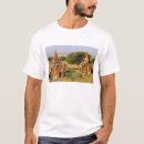 Search for pagoda clothing River