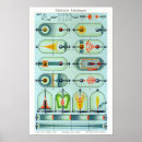 Recherche de expérience scientifique posters Électricité