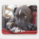 Search for bull electronics Cute dog