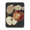 Recherche de étude magnets Anthracite
