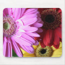 Search for gerbera mousepads Macro