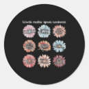 Search for enough stickers You are enough