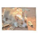 Search for corgi pillowcases Cute
