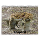Search for leopard calendars Animals