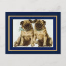 Recherche de chien vintage cartes postales Carlin