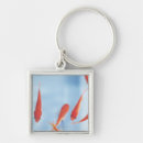 Search for two fish keychains Water