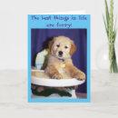 Search for on your new puppy congratulations cards Golden retriever