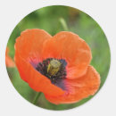 Search for november stickers Poppy