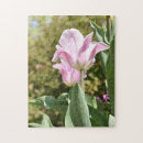 Recherche de tulip puzzles Fleurs