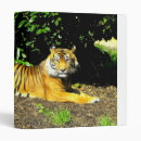 Recherche de sumatran Faune