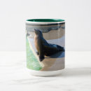 Search for marine mammal mugs Wildlife