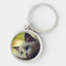 Search for ragdoll keychains Kitten