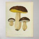 Search for mushroom art Brown