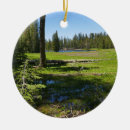 Search for meadows in ornaments National park