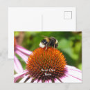 Search for bee lovers postcards Bumblebee