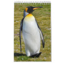 Search for penguins calendars Gentoo