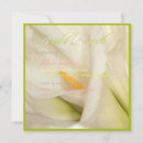 Search for calla square invitations Lily