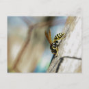 Search for jacket postcards Nature