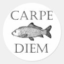 Search for carp stickers Fisherman