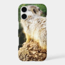 Search for vegetable cases Animal