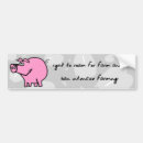 Search for animal rights bumper stickers Pig
