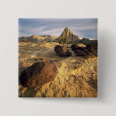 Search for reef buttons Usa