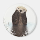 Recherche de loutre mignonne magnets Adorable