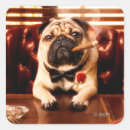 Search for adult humor stickers Avanti press