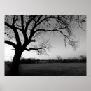 Search for gnarl Black