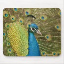 Search for one year electronics Nature
