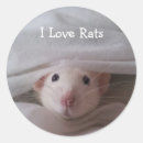 Search for white rat stickers Pet