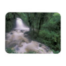 Recherche de nuages magnets Vert
