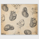 Search for brain wrapping paper Science
