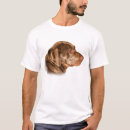 Recherche de brun chocolat tshirts Chien d'arrêt