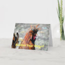 Search for polish cards Humour