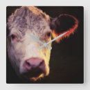 Search for hereford cattle art Bull